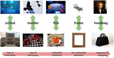 Toward an Integrative Approach for Making Sense Distinctions